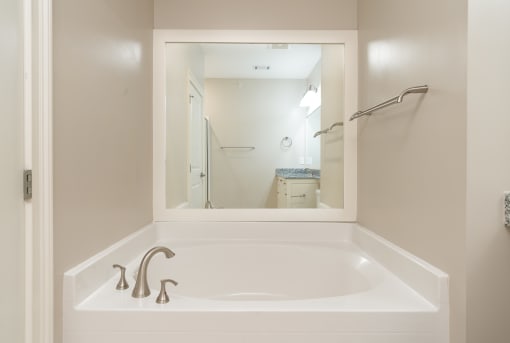 Master Bath Soaking Tub