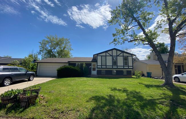 Terrific 4 bedroom, 2 bath Louisville Home - Available August 8th!