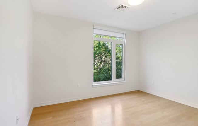 Spacious unfurnished bedroom at Park77 Apartments, Cambridge, Massachusetts
