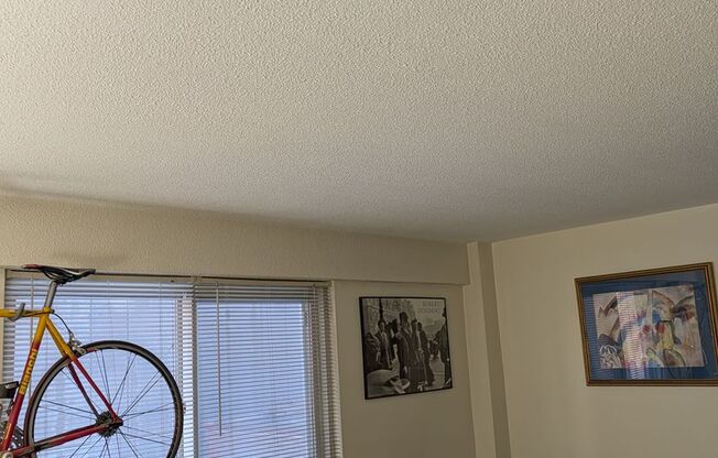 1 bed, 1 bath, 606 sqft, $2,800, Unit 301