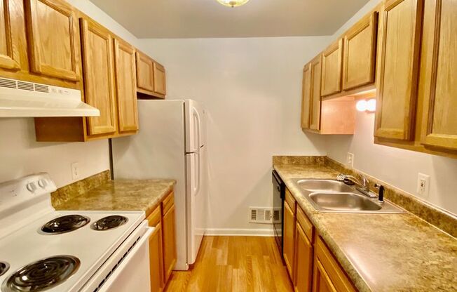 1 bed, 1 bath, 750 sqft, $1,145, Unit 504