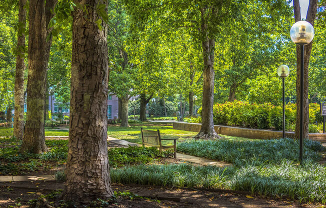 a park with trees and a bench