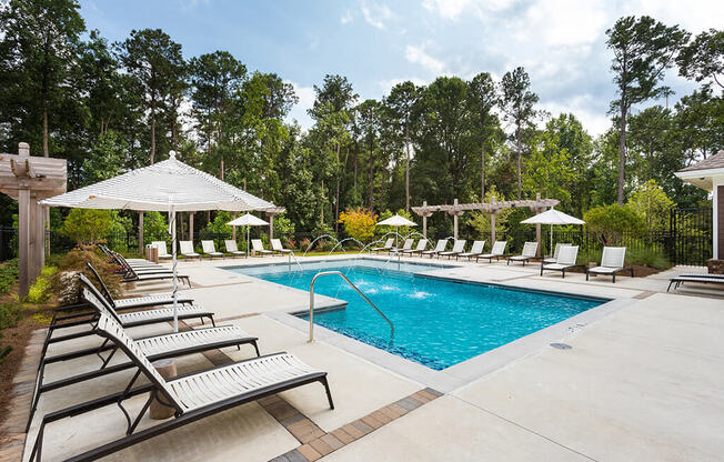 Gorgeous Modern Pool with Sunshelf and Lounge Chairs for Relaxing at Echo at North Pointe Center Apartment Homes, Alpharetta, GA 30009