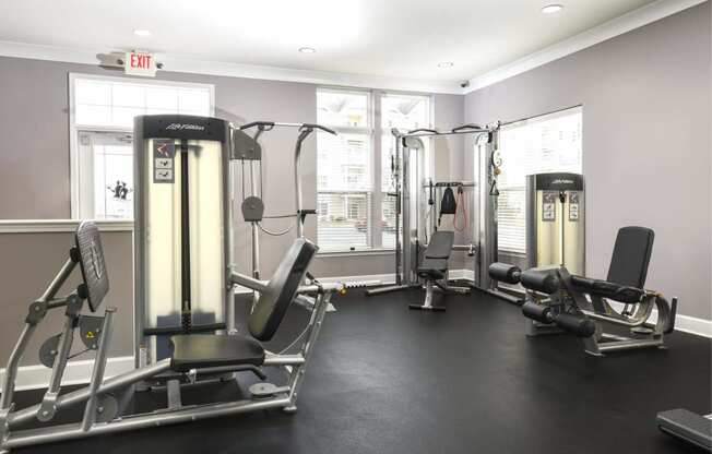 the gym is equipped with cardio equipment and weights