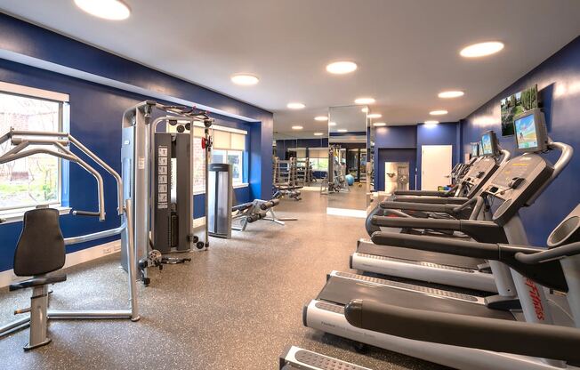 a gym with cardio equipment and weights on the floor