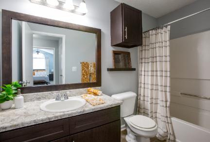 A bathroom with a white toilet, a sink, and a mirror.