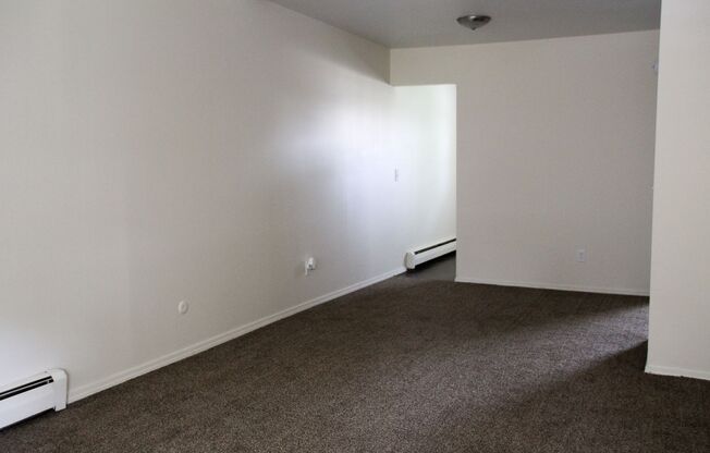 Spacious 1 bedroom apartments!