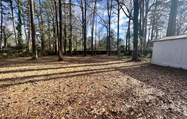 3 beds, 1 bath, $1,200