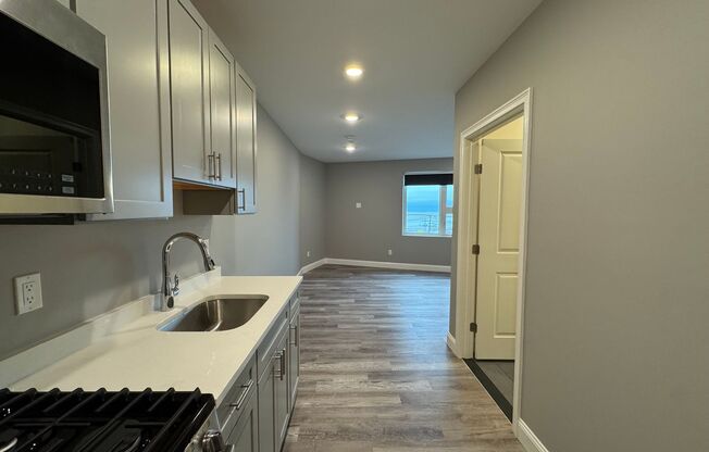 Studio, 1 bath, 362 sqft, $2,050, Unit 307