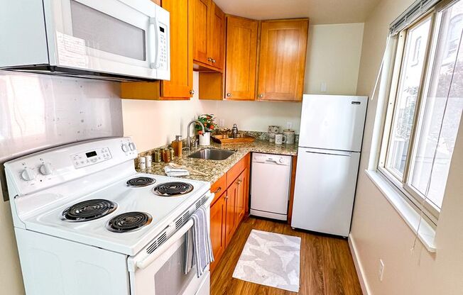 Studio, 1 bath, 333 sqft, $1,250, Unit 206