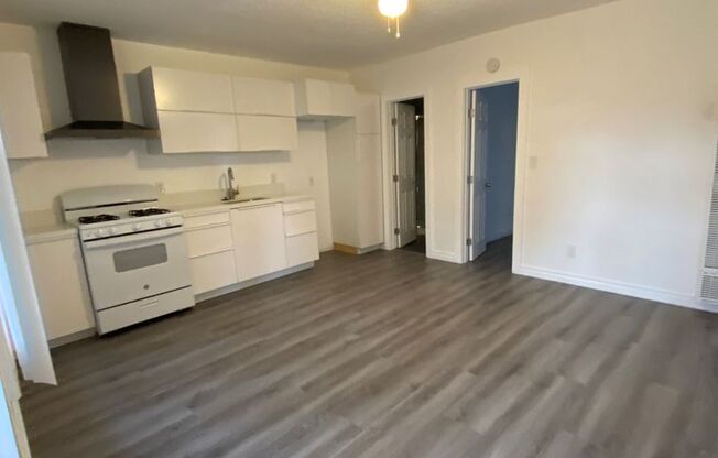 1 bed, 1 bath, 500 sqft, $1,850, Unit 693