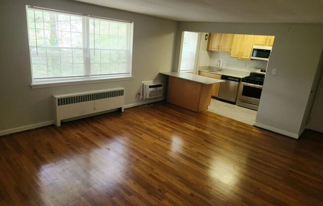 1 bed, 1 bath, 663 sqft, $1,750, Unit D-13