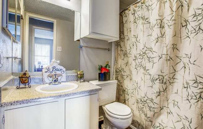 Monarch Pass Apartments in Fort Worth, TX photo of bathroom with upper cabinets