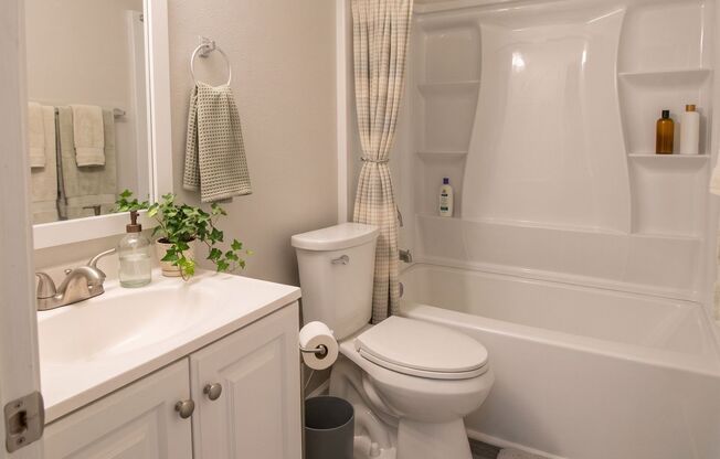 NEWLY RENOVATED - Royal Ridge Apartments
