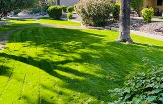 Desert Springs Apartments