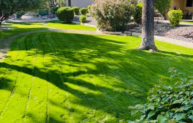 Desert Springs Apartments