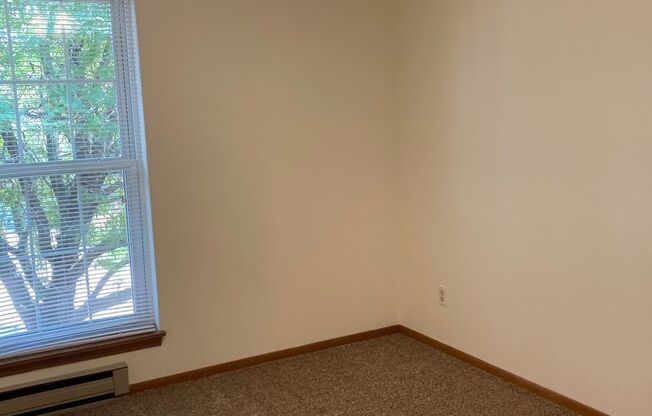 2 beds, 1 bath, $1,035