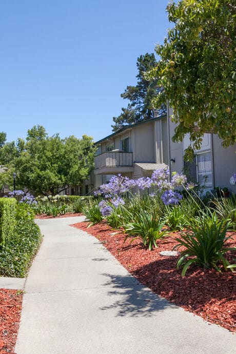 a sidewalk in front of an apartment building at Campbell West, California, 95008