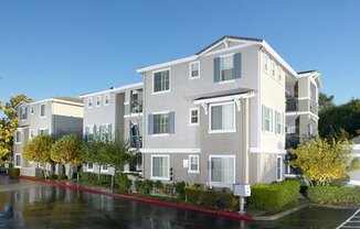 Park Place Apartments in San Ramon