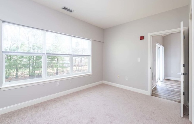 Drum Hill 2 Bedroom Apartment bedroom two with plush carpeting and extra large window