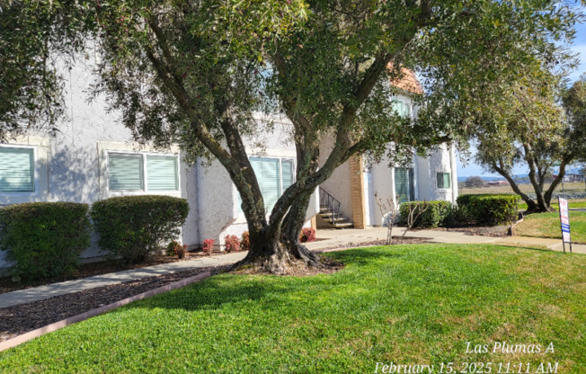 2364 Las Plumas Ave