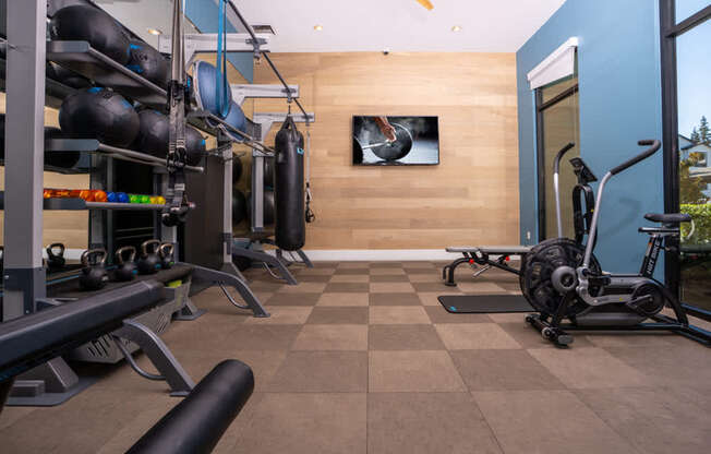 A gym with a variety of equipment including weights and a treadmill.