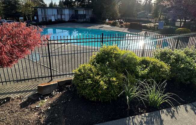 A pool surrounded by a black fence and green bushes.