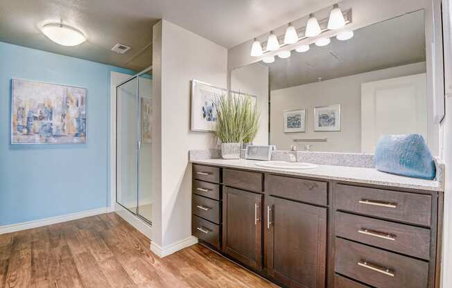 an open bathroom with a large mirror and wooden cabinets