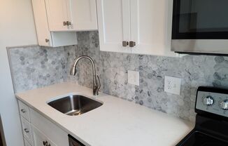 Kenmore Square - Renovated - Roof Deck