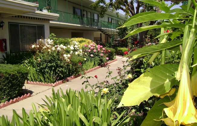 Colonial House Apartments San Jose the garden in front of our building is full of flowers and plants