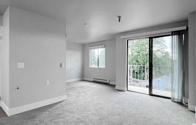 Studio, 1 bath, 480 sqft, $1,495, Unit 317