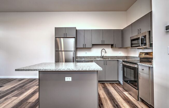 1 bed, 1 bath, 740 sqft, $2,600, Unit Apt 1409