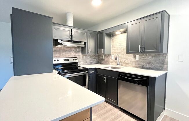 1 bed, 1 bath, 555 sqft, $1,295, Unit 9