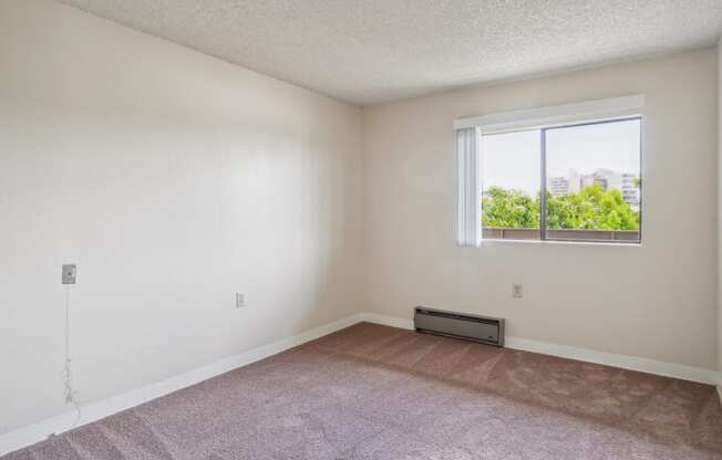 an empty living room with carpet and a window