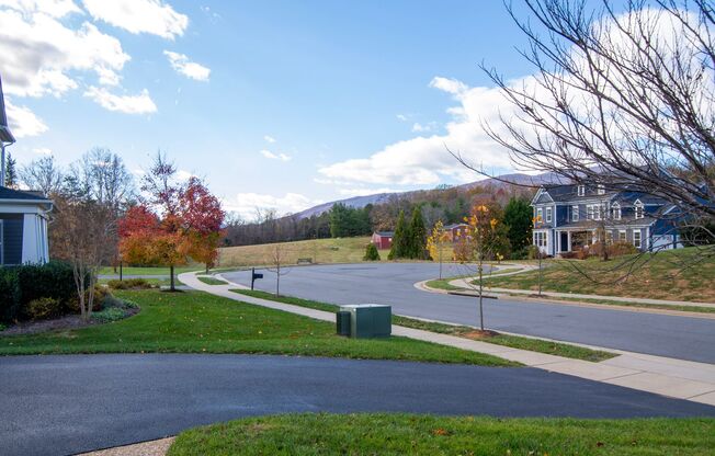 6883 Birmingham Drive - Spacious Crozet Home!