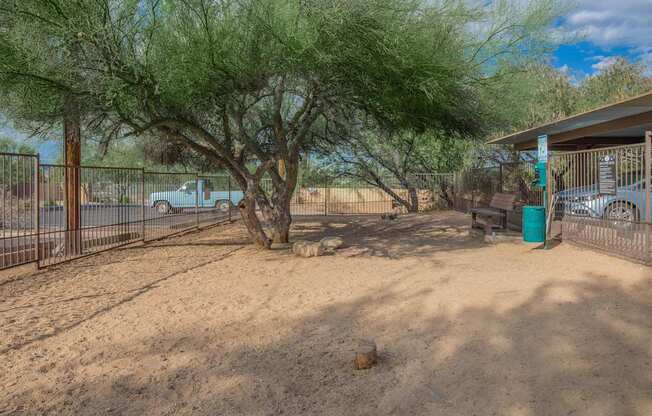 A tree in a yard with a blue trash can.