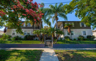 a home with a sidewalk and palm trees in front of it