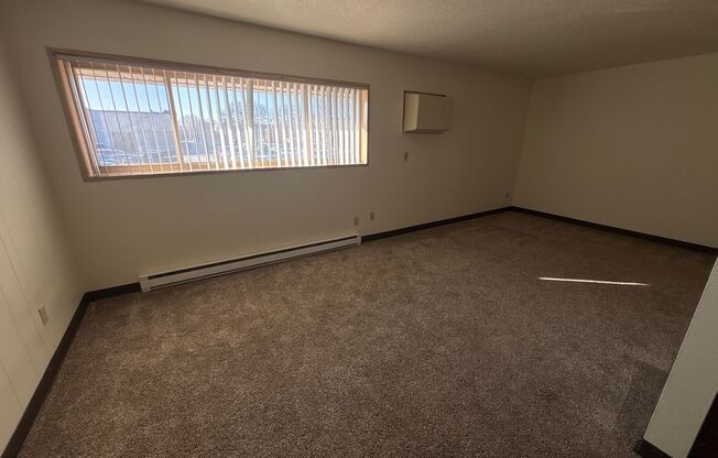 Studio, 1 bath, 500 sqft, $650, Unit 213