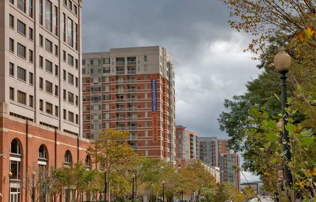 a view of a city street with tall buildings and trees