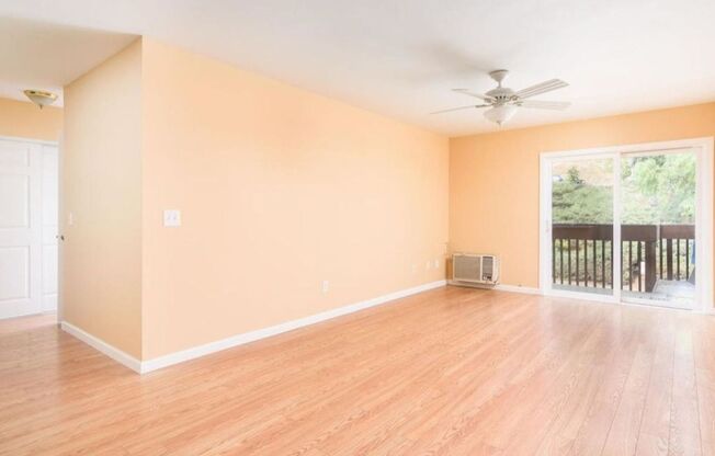 Spacious and Comfortable Condo -  A/C - Central Location - Great Amenities - Natural Light