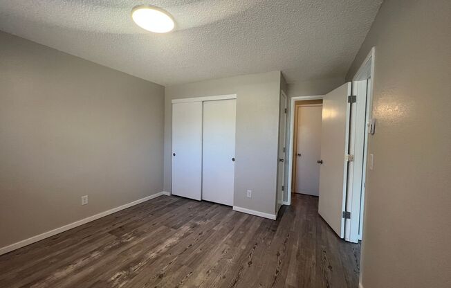 1 bed, 1 bath, 520 sqft, $1,125, Unit 230 Beatty St #6