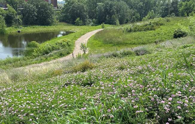 River view at Meridian at CityPlace in Woodbury, MN 55125