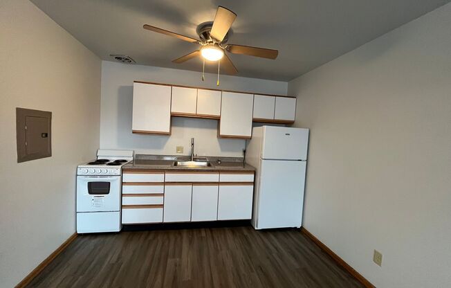 1 bed, 1 bath, 500 sqft, $949.99, Unit 2827-116