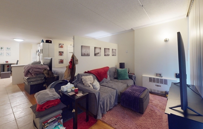 1 bed, 1 bath, 450 sqft, $1,800, Unit T34