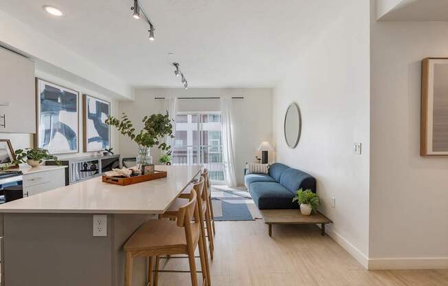 a living area with a kitchen and a living room with a couch