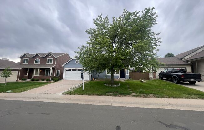 Move-In Ready Highlands Ranch Gem – Recently Updated 3 Bed/3 Bath