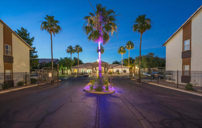 A palm tree is illuminated by purple lights in the middle of a street at Sterling Point Apartment Homes, Phoenix, AZ, 85042