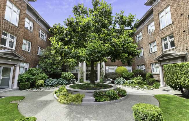 a tree in the middle of a courtyard in front of an apartment building