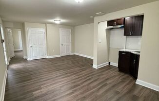 BRAND NEW 1 BED 1 BATH APARTMENT FOR RENT.