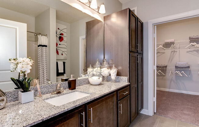 Luxurious Bathroom at Aspire Apollo, Maryland